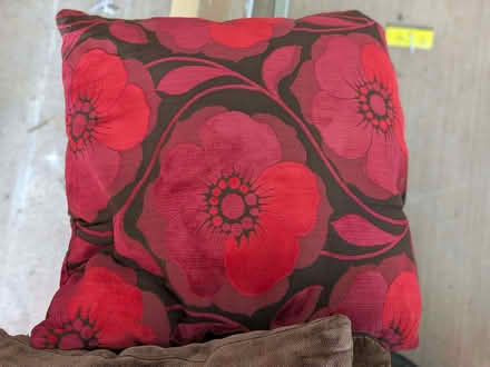 Photo of free Cushions 50x50cm (East Leake LE12) #2