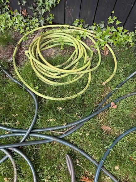 Photo of free 4 garden hoses (North Ballard) #2