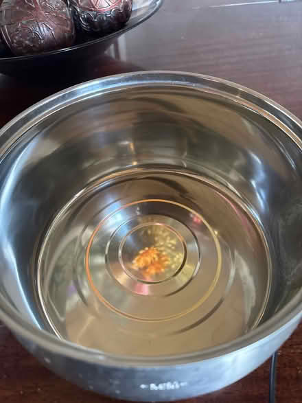 Photo of free Pet Water Fountain Dispenser (West San Jose 95128) #3