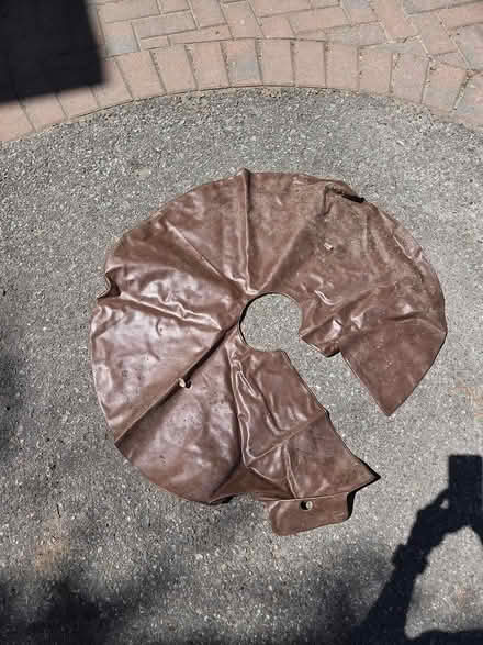 Photo of free Tree watering bag (Old Ottawa South) #1