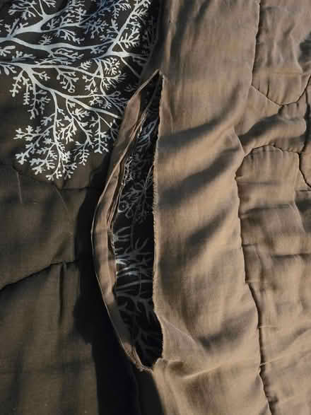 Photo of free Brown Floral Twin Comforter (West 7th) #3
