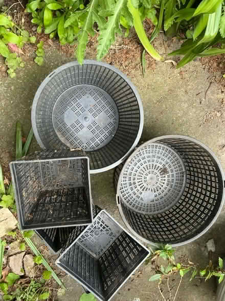 Photo of free Plant pots for water /pond plants (Liverpool 13 /Stoneycroft) #1