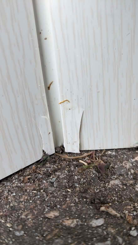 Photo of free Concertina Folding Door (Please See Description) (Lipson PL4) #3