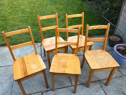 Photo of free Dining chairs (Penge, SE20) #2