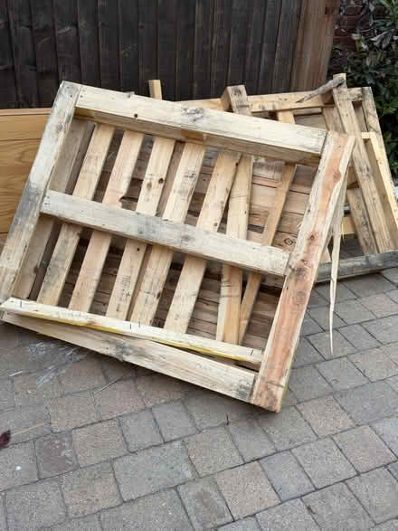 Photo of free Solid wood double rebated door + pallets (Tewin AL6) #1