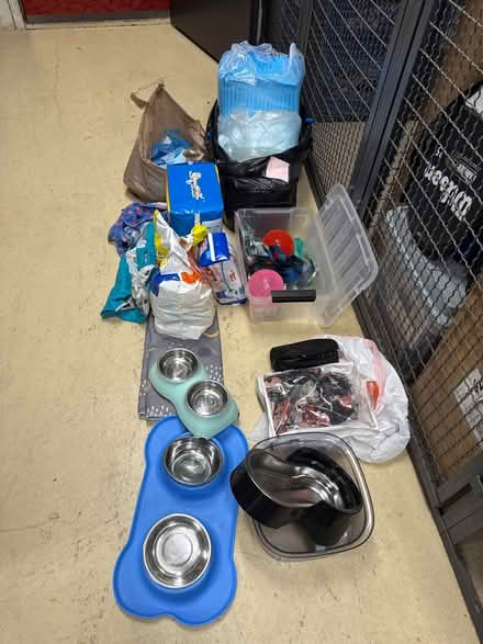 Photo of free Dog supplies various (Riverdale, Bronx, New York) #1