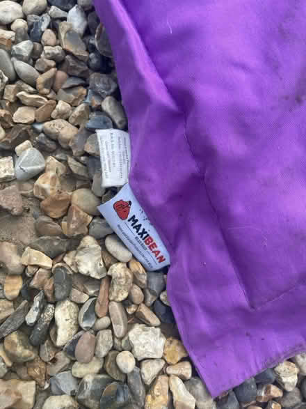 Photo of free XL outdoor beanbag pinky purple (Maidstone ME14) #2