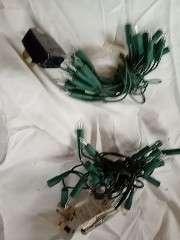 Photo of free Xmas lights (Orleton SY8) #1
