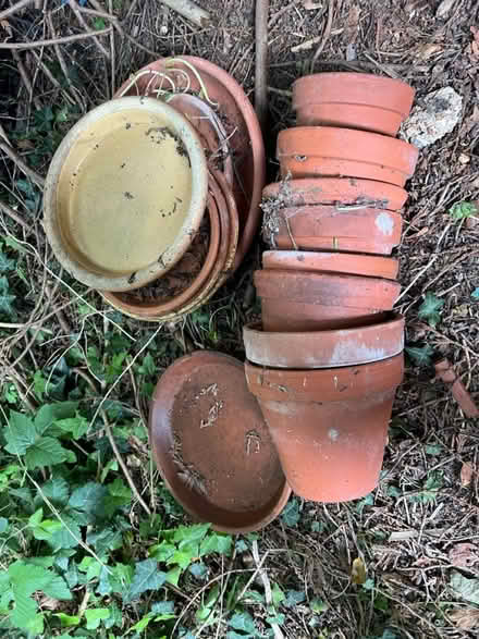 Photo of free Pots (Onslow Village) #1