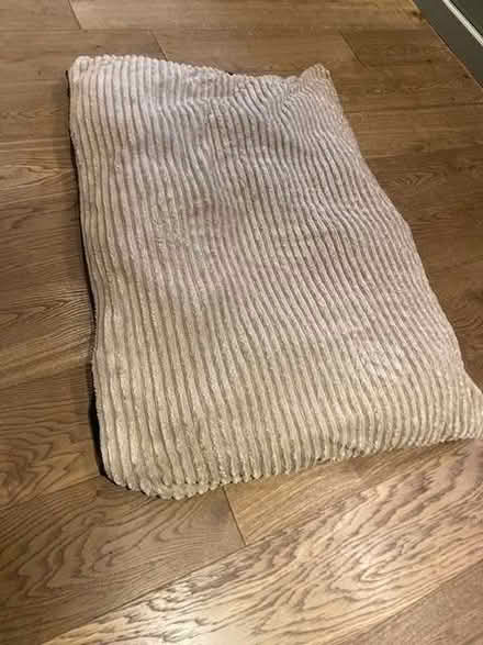Photo of free Large Floor Cushion (Dorchester On Thames OX10) #1