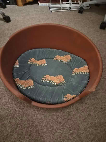 Photo of free Small dog bed (South Lambeth SW8) #1