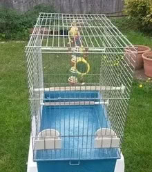 Photo of free Bird Cage (Grundisburgh IP13) #1