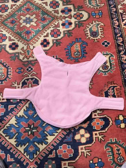 Photo of free Winter coat for puppy (Reading RG2 (Shinfield Road)) #2