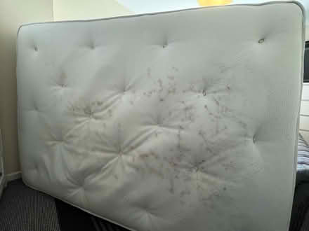 Photo of free Mattress double (Coventry CV2) #2