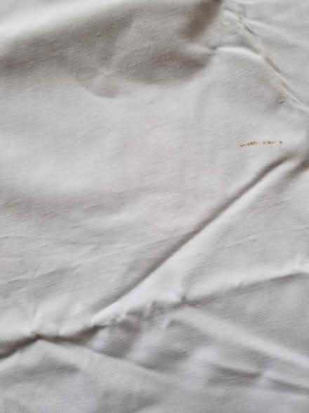Photo of free Blackout fabric (Juniper Green, EH14) #2