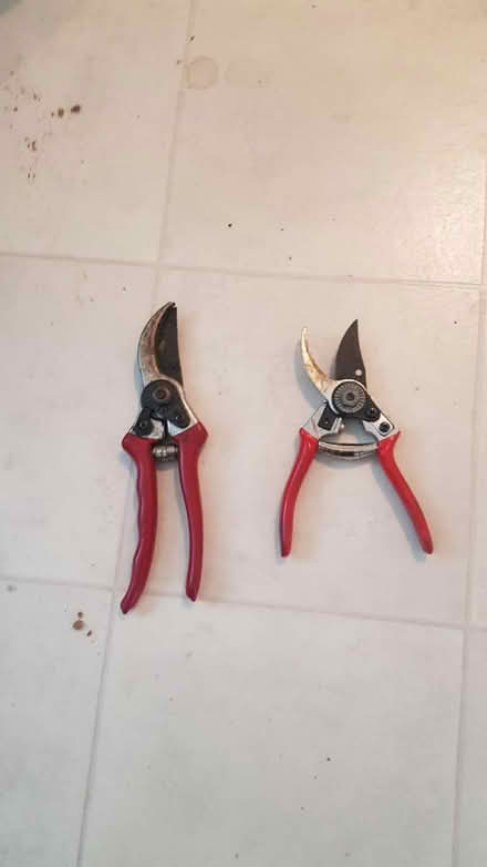 Photo of free Secateurs (Oldfield Park) #1