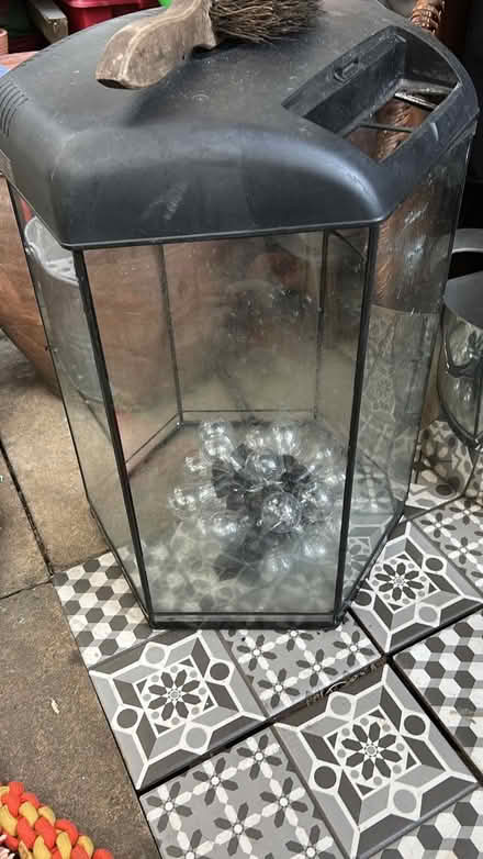 Photo of free Aquarium (Covent Garden WC2H) #1