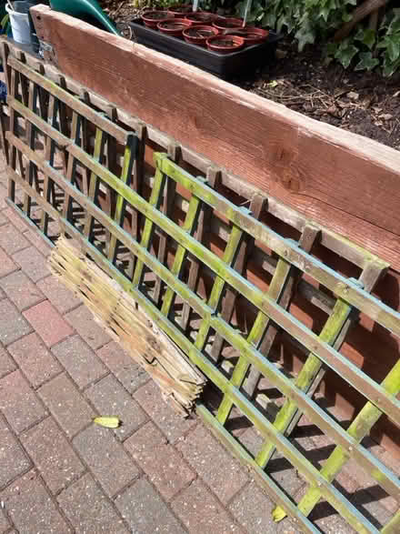 Photo of free Asstd trellis (IP7) #1