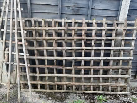 Photo of free Trellis panels (Mytchett) #1