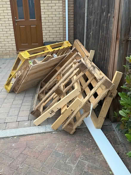 Photo of free Solid wood double rebated door + pallets (Tewin AL6) #3