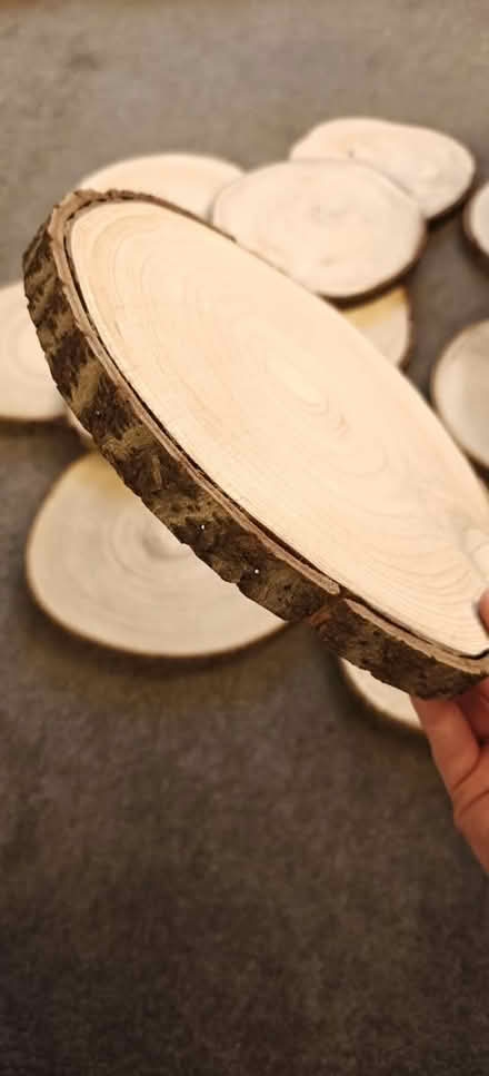 Photo of free 11 Wood Slices (Natural with bark) (Kidderminster DY10) #3