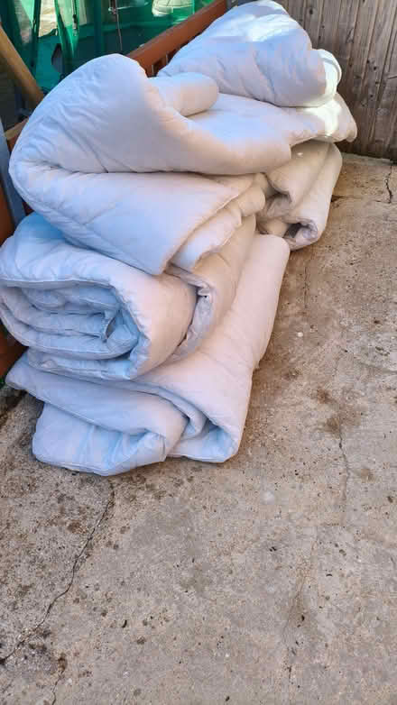 Photo of free Mix of Double and Super King Size 13.5 Tog Duvets. (Parson's Heath CO4) #1