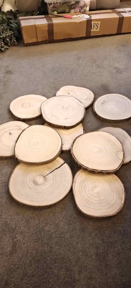 Photo of free 11 Wood Slices (Natural with bark) (Kidderminster DY10) #1