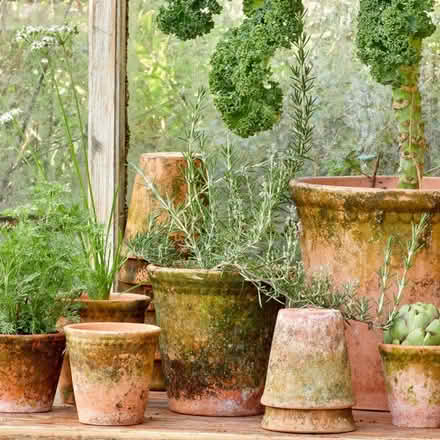 Photo of Old Plant Pots (clay or terracotta) (Leytonstone E11) #1