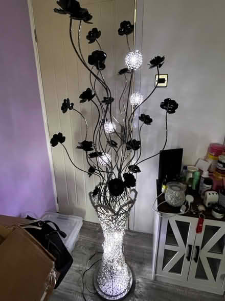 Photo of free Tall flower light (Belle vale l27 1XF) #3