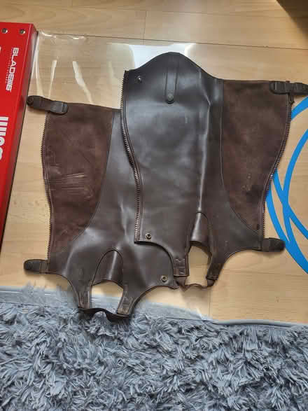 Photo of free Riding half chaps (Larkhall, bath) #1