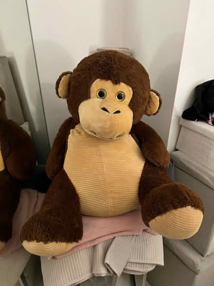 Photo of free Large teddy (Bounds Green N11 2QD) #1