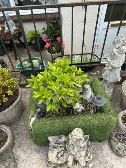 Photo of free Belfast sink very heavy (Brixham) #1
