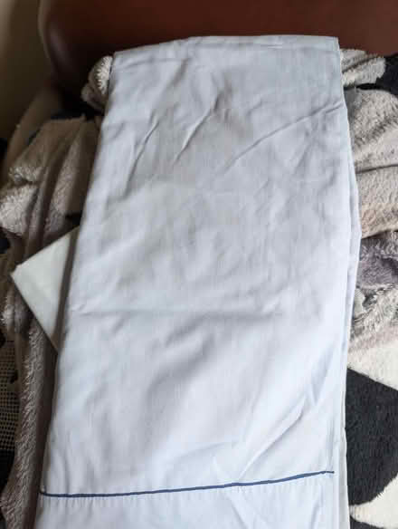 Photo of free Pale blue flat sheet double (Shinfield, RG2) #1