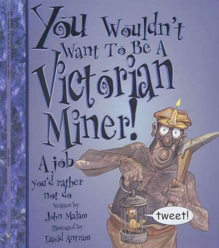 Photo of free Victorian Miner's Life book (4kids) (Edinburgh EH17) #1