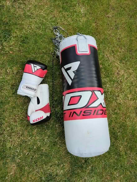 Photo of free Punching bag with gloves (Fareham PO15) #1