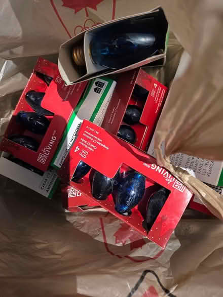 Photo of free Christmas light bulbs and clips (Old Ottawa South) #2