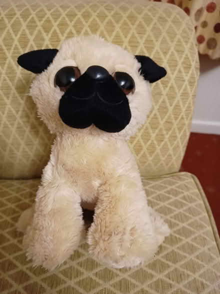 Photo of free Soft toy dog (CW2) #1
