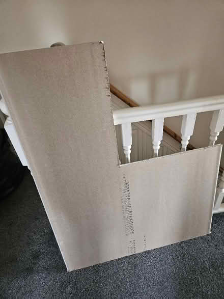 Photo of free Piece of plasterboard (Eastham CH62) #1