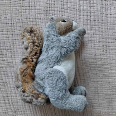 Photo of free Squirrel plush puppet (Union City) #1