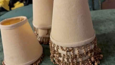 Photo of free Candelabra light covers (Canyon Hills Drive, Cordelia) #2