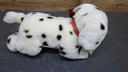 Photo of free "Buttons" fluffy, soft toy dog (NR1 4LD) #1