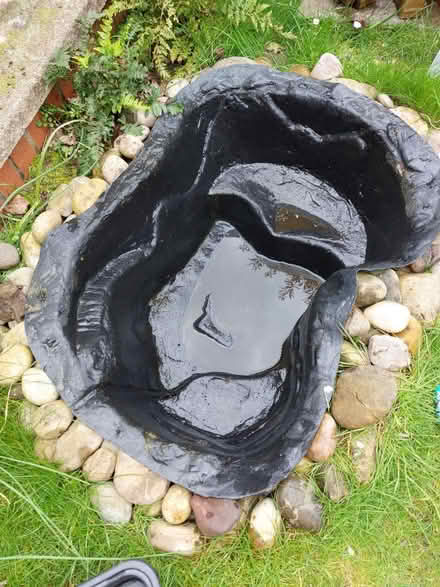 Photo of free Small pond, 3 plants and a pump (Pitreavie Castle, KY11) #4