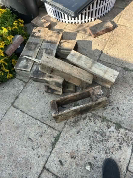 Photo of free Wood (Brixham) #1