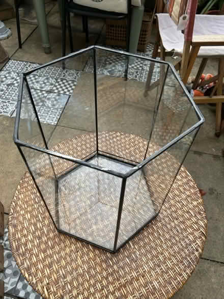 Photo of free Aquarium (Covent Garden WC2H) #3