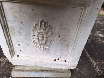 Photo of free Garden planter (Walton-on-Thames KT12) #2