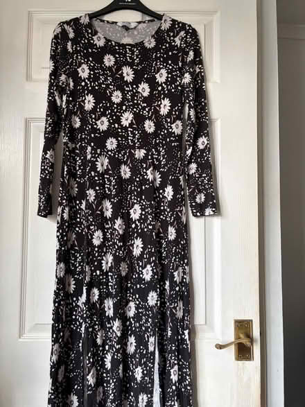 Photo of free Dorothy Perkins Dress (Westbury BA13) #1