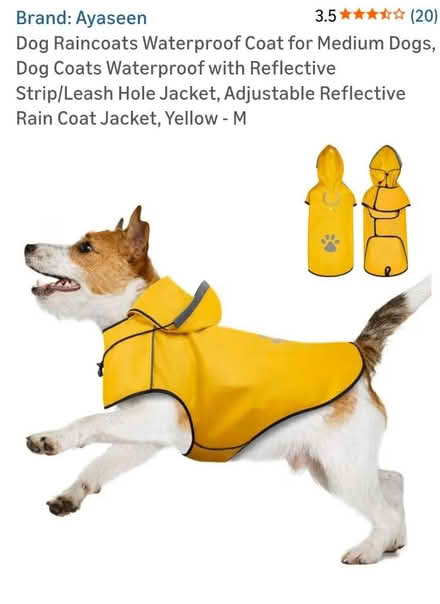 Photo of free Raincoat for small dog (Reading RG2 (Shinfield Road)) #4