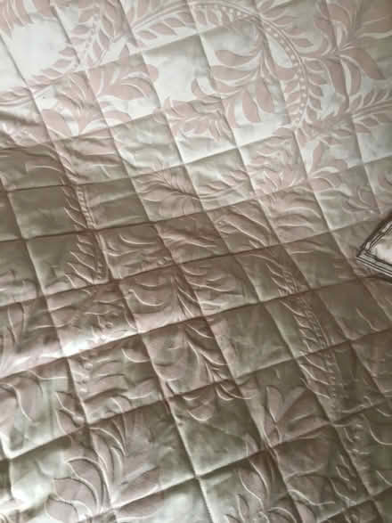 Photo of free Pale pink floral cover and cushions (Altrincham 2DP) #3
