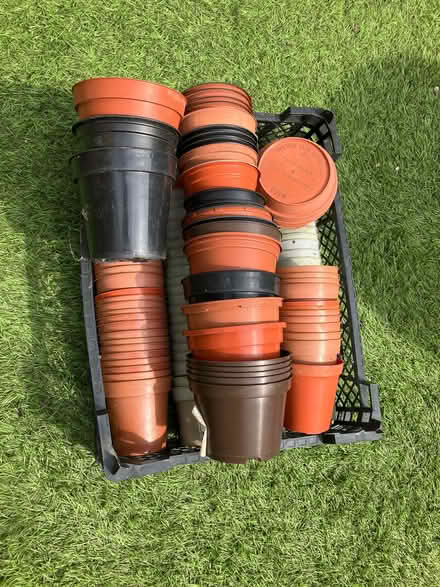 Photo of free Plant Pots (Abingdon OX14) #1