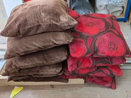 Photo of free Cushions 50x50cm (East Leake LE12) #1